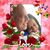 Marisol Torres's profile image