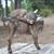 Denise Fugate's profile image