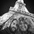 Patrick Dougherty's profile image