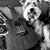Nena Flores's profile image
