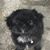 Mark Steves's profile image