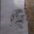 Todd Williamson's profile image