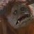 Eric Eric's profile image