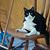 Diane Smith Conrad's profile image