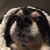 Lisa Austin's profile image