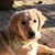 Vicki Terrell's profile image