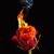 Lori Turner's profile image