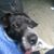 Christine Maisey Campbell's profile image