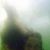 Beatriz Nogueira da Gama's profile image