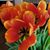 Marguerite Martinez Mackintosh's profile image