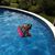 Shari Wells Bradshaw's profile image