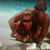 Karmen Quigley's profile image
