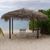 Nancy Ketner's profile image