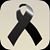 Sandy Contreras's profile image