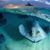 Kimberly Holman Surber's profile image