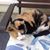 Mary Labedz Kulpa's profile image