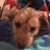 Robin Lee Dugas's profile image