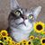 Gail Griffith's profile image