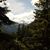 Judy L. Wilson's profile image