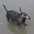 Connie Driggersbundystewart's profile image
