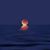 Sonnie Lampmann's profile image