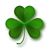 Erik Hoolahan's profile image