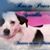 Luchen Hockaday's profile image
