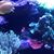 Linda Kaye Miller's profile image