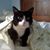 Cathy Stratman's profile image