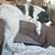 Susan Eidenmiller- Meek's profile image