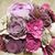 Renate Maitz Pittmann's profile image