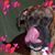 Matthew Cocchi's profile image