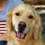 Sharon Brnich Zickler's profile image