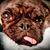 Joy Lynn Reynolds's profile image