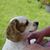 Lynn Kendrick Fanning's profile image