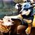 Charlie Brooksley CsjCreations's profile image