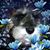 Veronica Rose Young-Tiltges's profile image