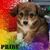 Kara Dodd's profile image