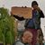 Denis Christian Tonicello's profile image