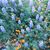 Martha Larive's profile image
