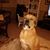 Rickey Giles Hatzidakis's profile image