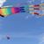 Linda Wilson's profile image