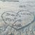 Tonya Horton O'Bannon's profile image