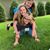 Amy Guthrie Majsterski's profile image