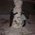 Steve Ekberg's profile image