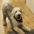 Mike Partin's profile image