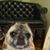 Amanda Weiss's profile image