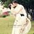 Vikki English Horton's profile image