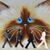 Carol J Edwards's profile image