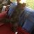 Ellen Balser-Kimble's profile image